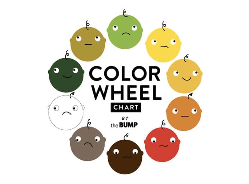 Colour wheel by the BUMP